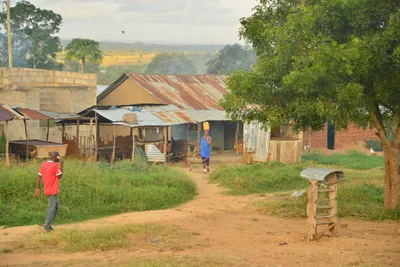 DSC_4344 (Large).JPG